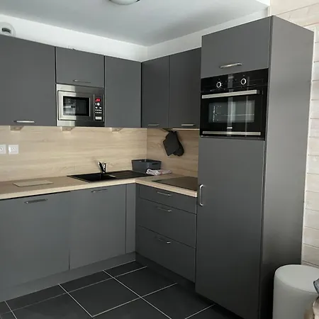 Duplex Avec Acces Piscine, Animaux Acceptes, 8 Pers. A Gourette - Fr-1-860-10 *